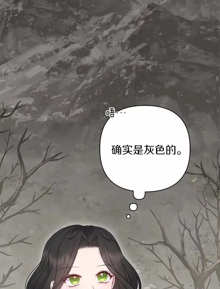 所以我和废皇太子结婚了漫画,9.灰色平原2图