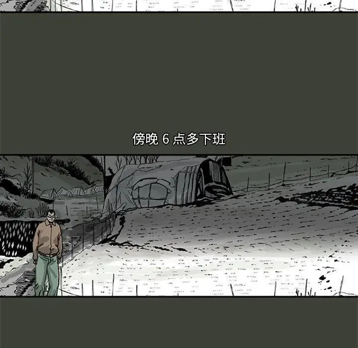 苔藓植物和蕨类植物哪个更容易发现漫画,241图