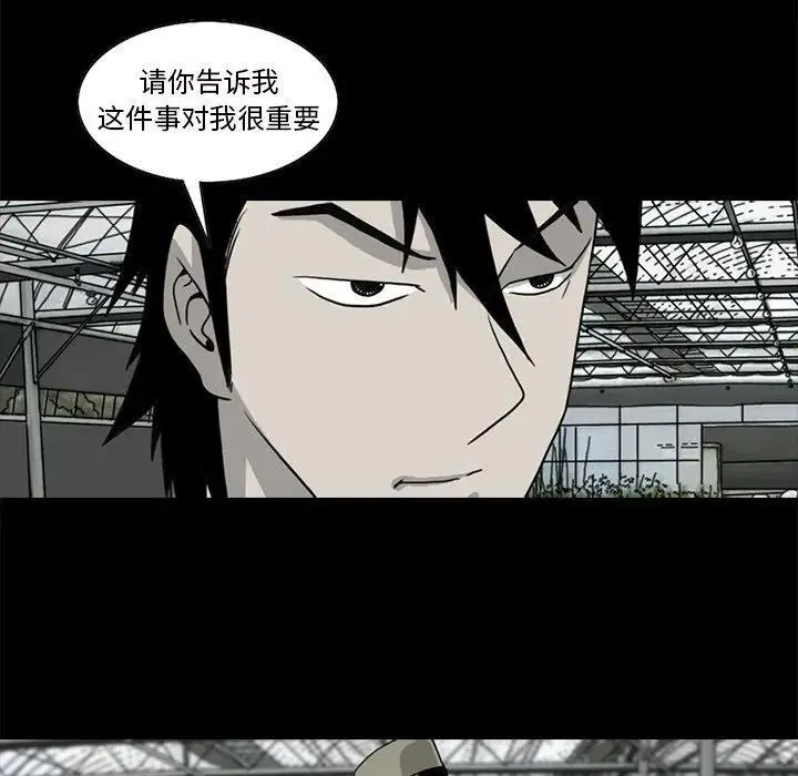 苔藓植物和蕨类植物哪个更容易发现漫画,322图