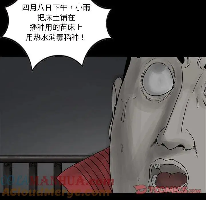 苔藓微景观图片漫画,542图