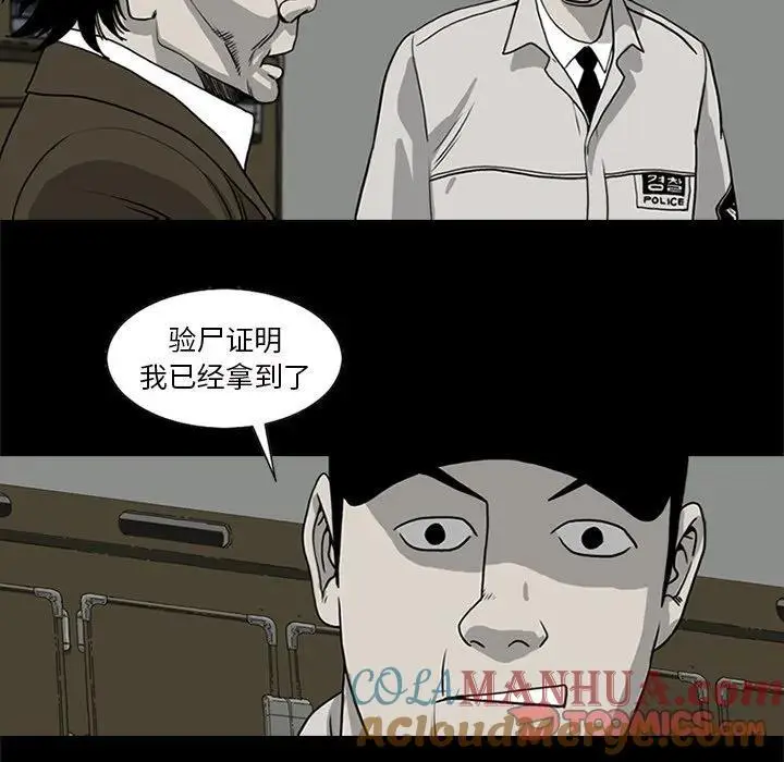 苔藓植物长不高是因为什么漫画,292图