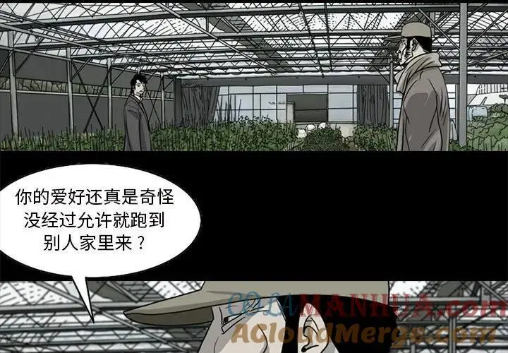 苔藓是植物吗漫画,322图