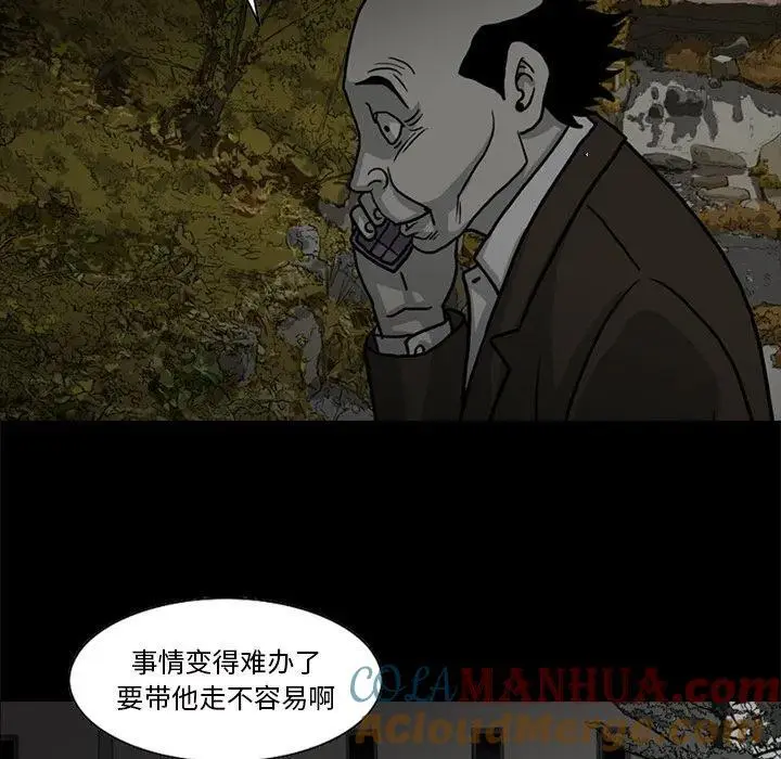 苔藓植物有根茎叶吗漫画,431图