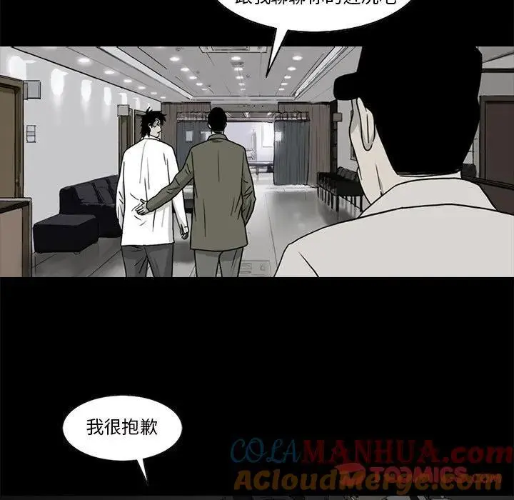 苔藓是植物吗漫画,451图