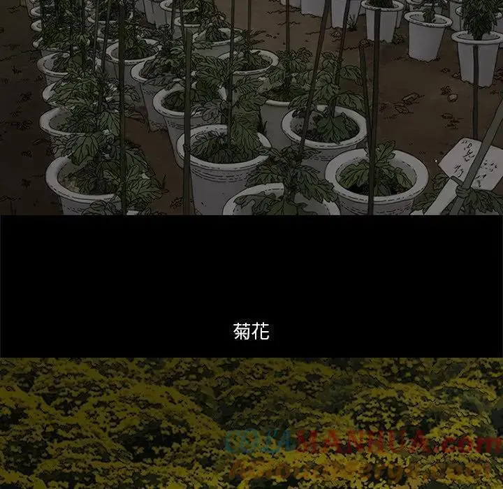 苔藓植物的特点漫画,302图