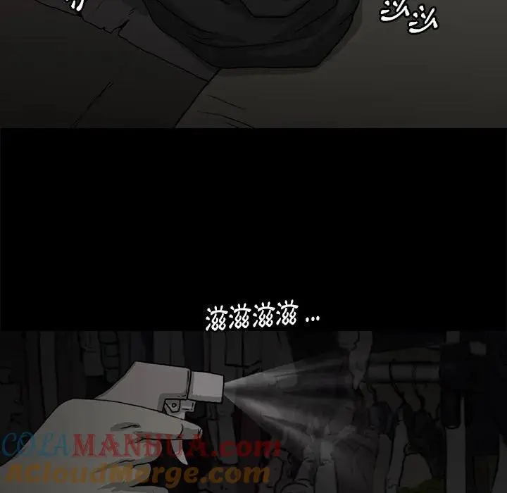 苔藓较多的一面是什么漫画,401图