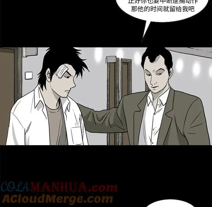 苔藓是植物吗漫画,451图