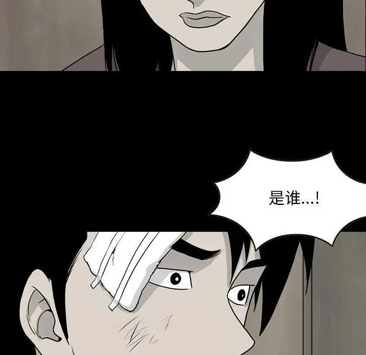 苔藓类植物漫画,742图