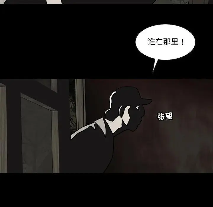 苔藓微景观图片漫画,802图