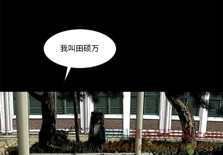 苔藓微景观制作漫画,362图