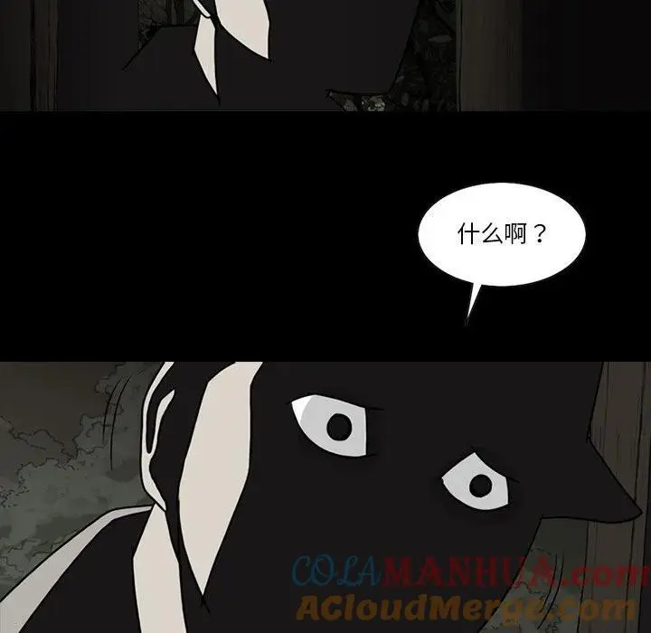 苔藓微景观图片漫画,801图