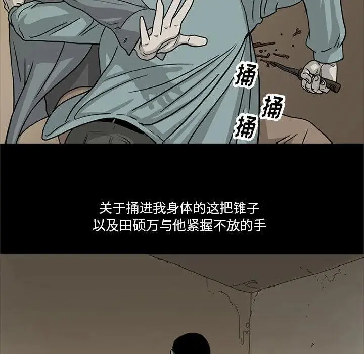 苔藓类植物漫画,261图