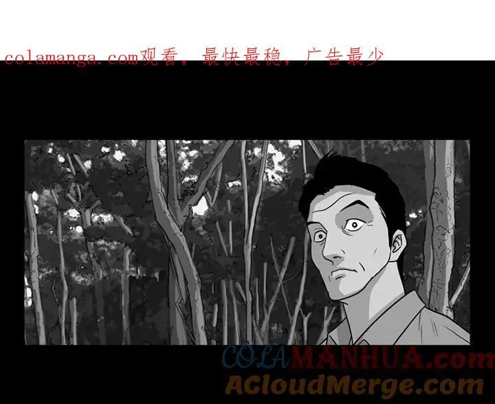 苔藓景观漫画,671图