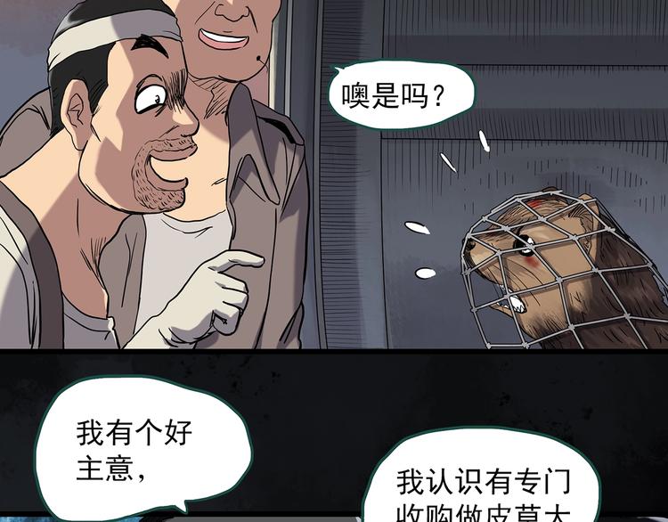 怪奇实录漫画未删减漫画,第271话 貂皮大衣 下1图