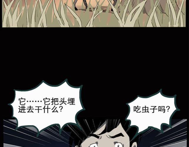 怪奇实录旧版漫画,第10话 配偶树（上）1图