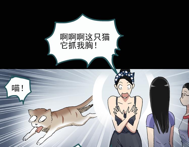 怪奇实录旧版漫画,第28话 怪之猫(上)1图