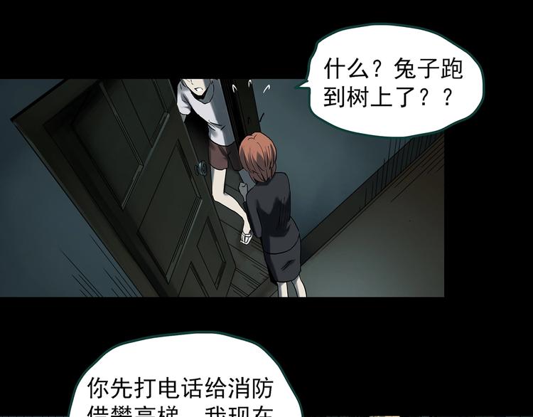 怪奇实录旧版漫画,第358话 树上影 下1图