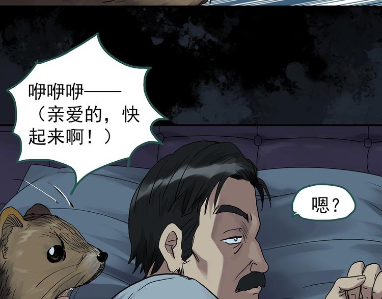 怪奇实录完整全集漫画,第270话 貂皮大衣 中2图