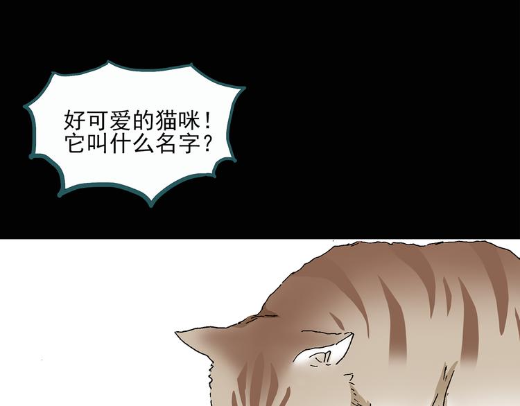 怪奇实录永无止境的出口漫画,第28话 怪之猫(上)2图