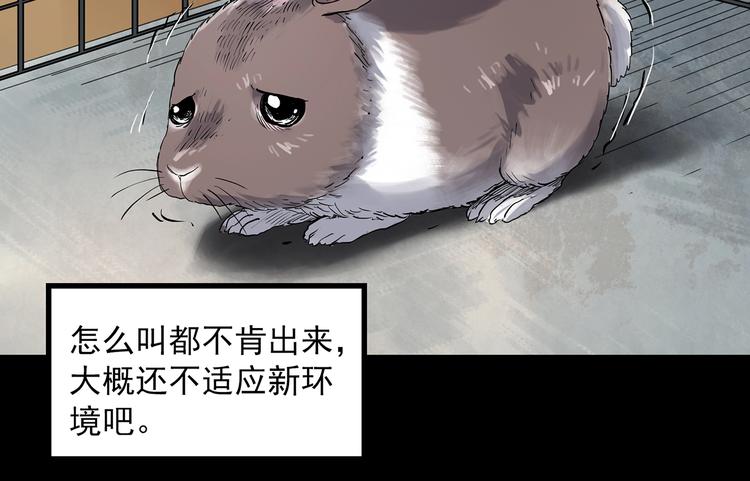 怪奇实录旧版漫画,第357话 树上影 上1图