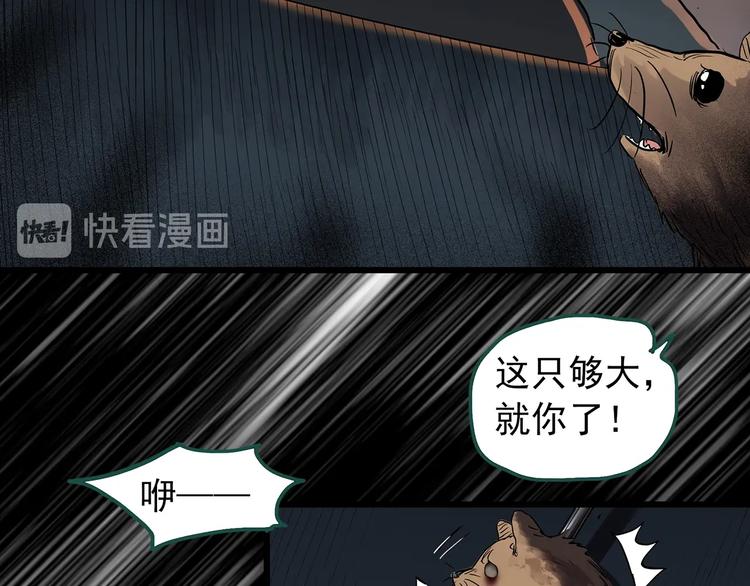 怪奇实录旧版漫画,第271话 貂皮大衣 下1图