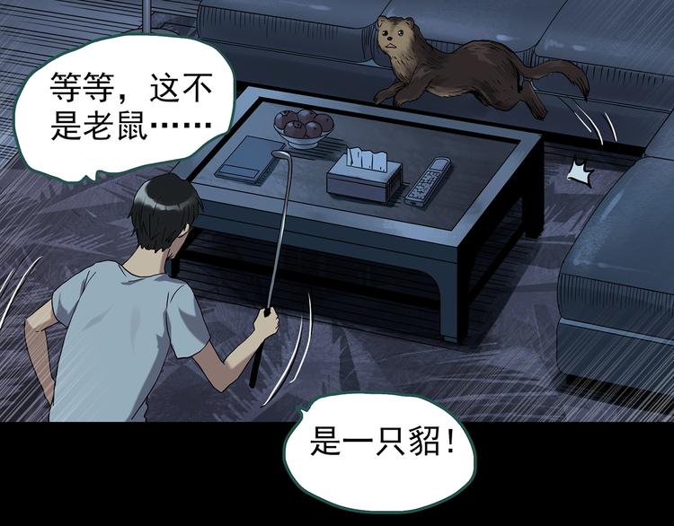 怪奇实录旧版漫画,第270话 貂皮大衣 中2图