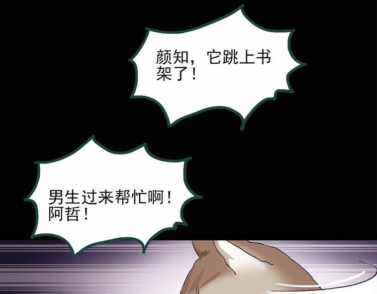 怪奇实录旧版漫画,第30话 怪之猫(中2)2图