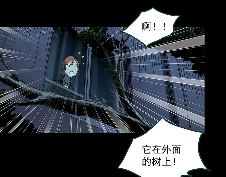 怪奇实录旧版漫画,第358话 树上影 下1图