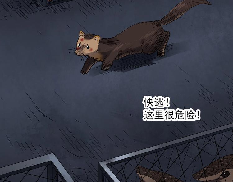 怪奇实录旧版漫画,第271话 貂皮大衣 下2图