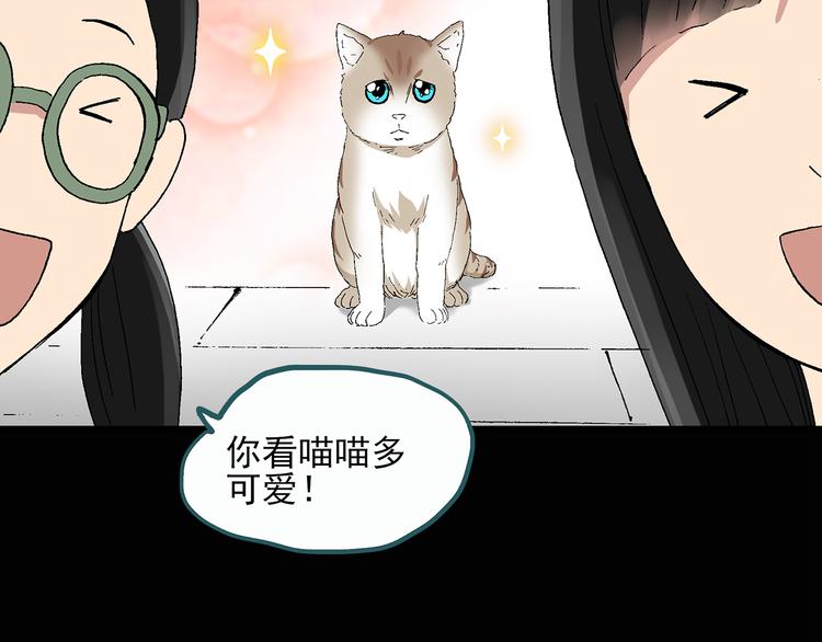 怪奇实录旧版漫画,第28话 怪之猫(上)1图