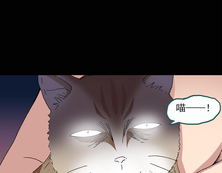 怪奇实录旧版漫画,第28话 怪之猫(上)1图