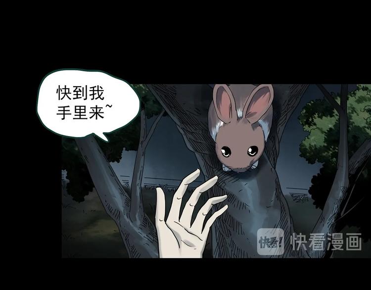 怪奇实录旧版漫画,第358话 树上影 下1图