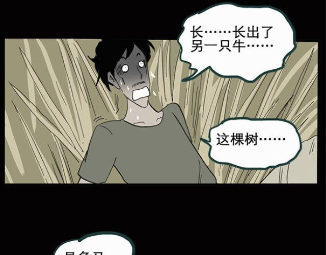 怪奇实录旧版漫画,第10话 配偶树（上）1图
