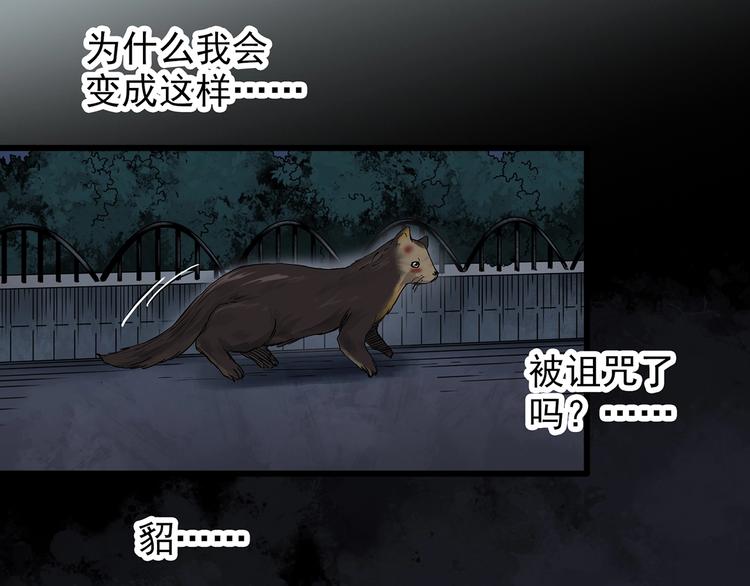 怪奇实录徐颜知陈仁哲漫画,第270话 貂皮大衣 中2图