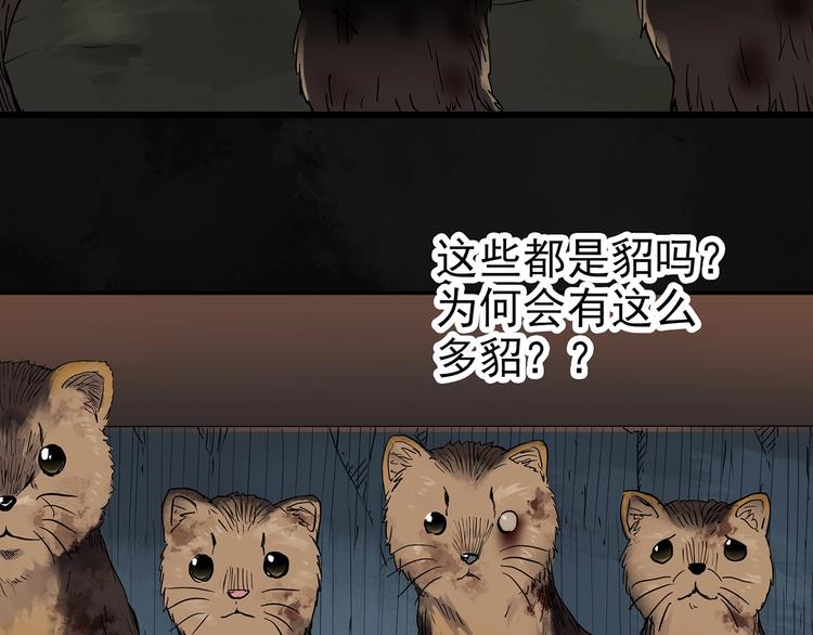 怪奇实录旧版漫画,第271话 貂皮大衣 下2图
