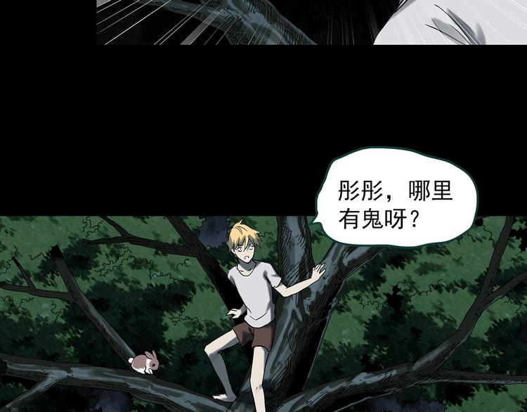 怪奇实录旧版漫画,第358话 树上影 下1图