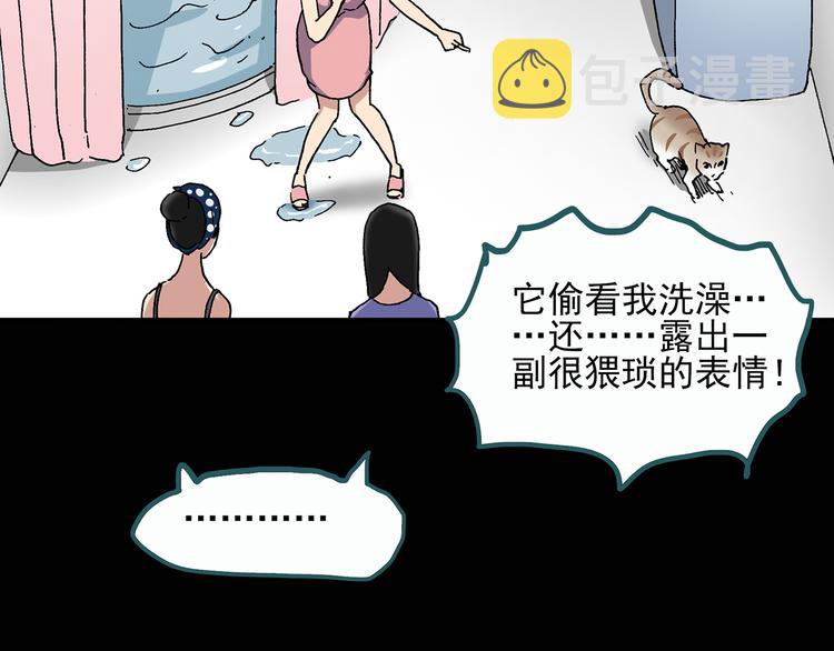 怪奇实录旧版漫画,第28话 怪之猫(上)1图