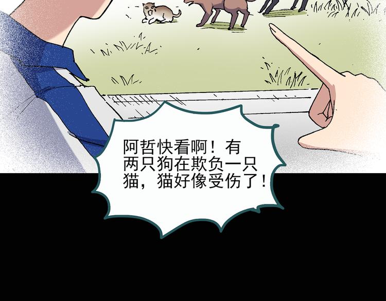 怪奇实录永无止境的出口漫画,第28话 怪之猫(上)2图