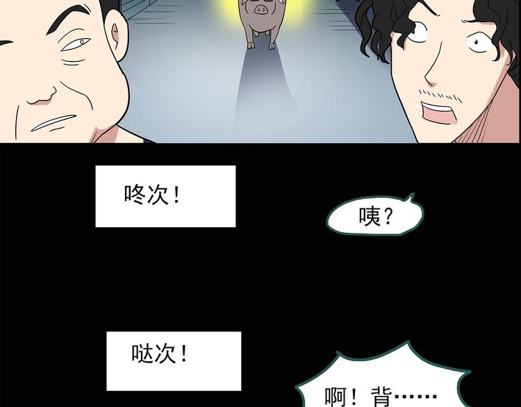 快看漫画怪奇实录漫画,第54话 背宝金猪（中）2图