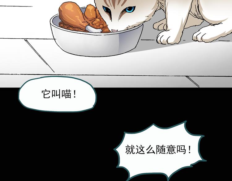 怪奇实录永无止境的出口漫画,第28话 怪之猫(上)1图