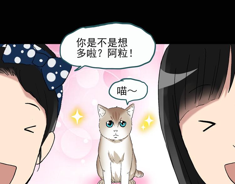 怪奇实录旧版漫画,第28话 怪之猫(上)2图