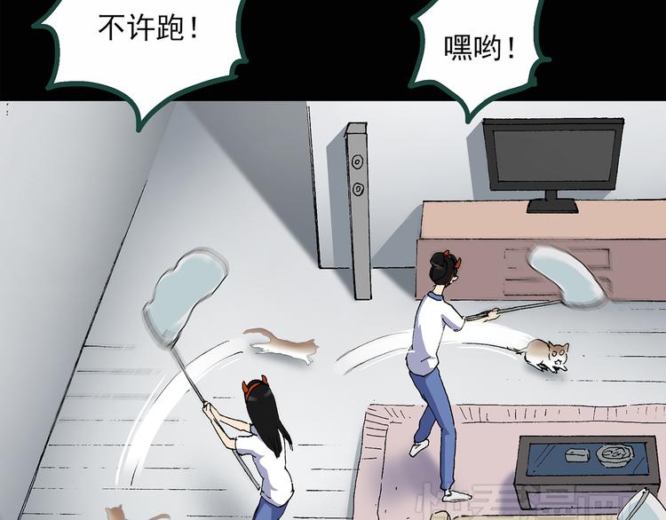 怪奇实录旧版漫画,第30话 怪之猫(中2)1图