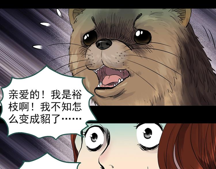 怪奇实录旧版漫画,第270话 貂皮大衣 中1图