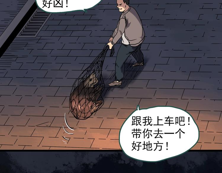 怪奇实录徐颜知陈仁哲漫画,第270话 貂皮大衣 中1图