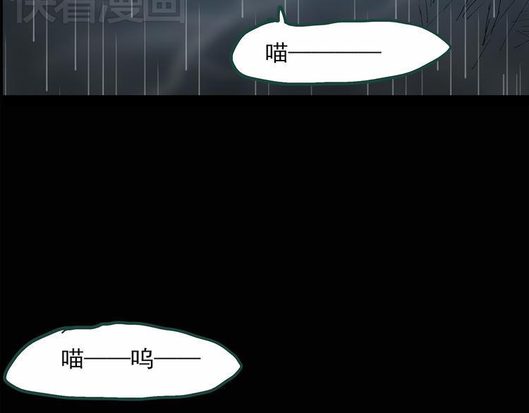 怪奇实录瘦身衣漫画,第31话 怪之猫（下）2图