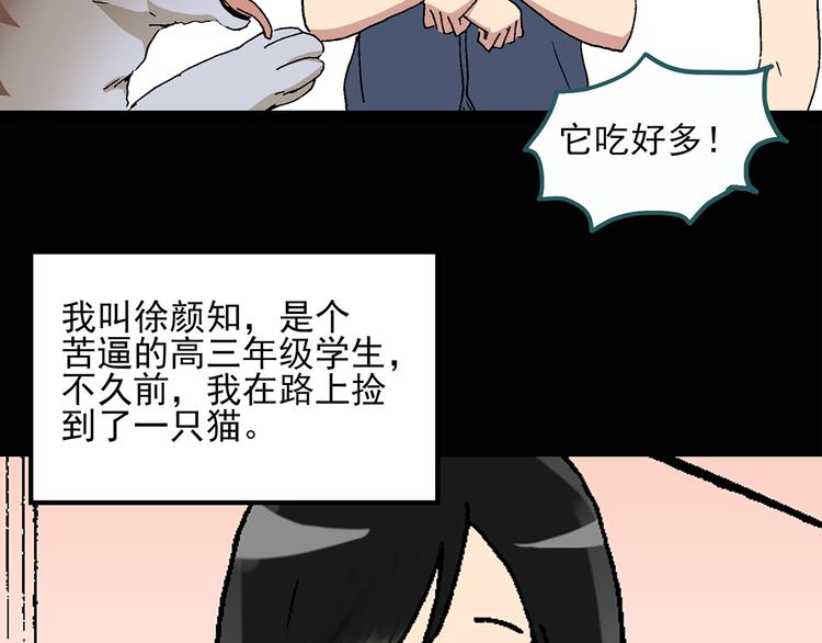 怪奇实录永无止境的出口漫画,第28话 怪之猫(上)1图