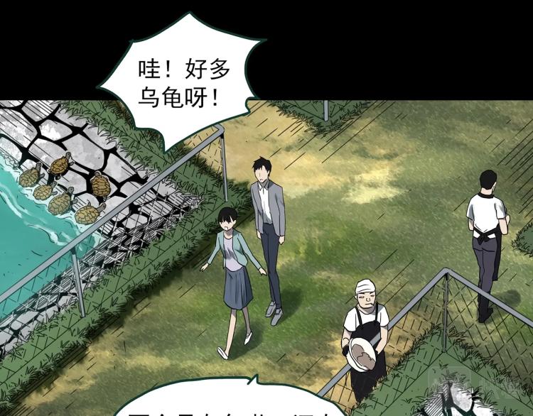 怪奇实录旧版漫画,第374话 龟之怪谈（上）2图