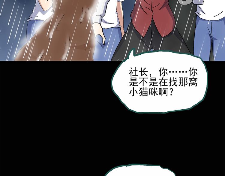 怪奇实录瘦身衣漫画,第31话 怪之猫（下）2图