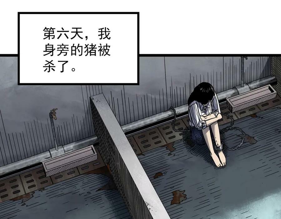 怪奇实录旧版漫画,第453话 猪圈【下】1图