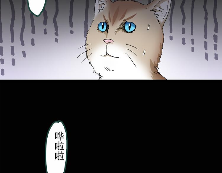 怪奇实录病人档案漫画,第30话 怪之猫(中2)2图